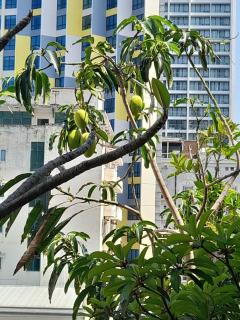 HAPPY HOME in 64 TRAN PHU NHA TRANG - 7