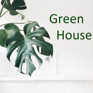 GREEN HOUSE Hostel - 4