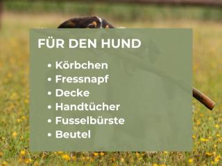 Ferienhaus Bergzeit Alpirsbach | Sauna (ab 10/26) | Hunde willkommen | 20 Personen - 3
