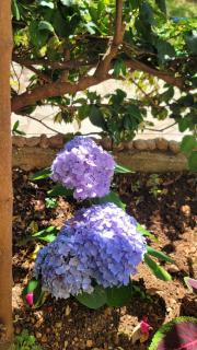 Sunset Seaview Apartment with private patio Dhërmi - 9