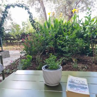 Sunset Seaview Apartment with private patio Dhërmi - 2