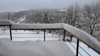 Stammhaus 2, Fruška Gora Views, Near Novi Sad - 2