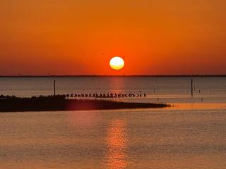 Water on 3 Sides | Fishing Getaway + Epic Sunsets - 0