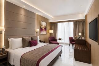 Hotel AJ TULIp NEAR DELHI AIRPORT Free Airport drop - 6