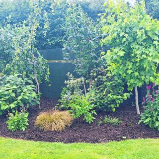 Guest Suite in County Limerick - 3