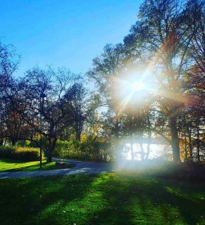 6BR Villa Near Lake - Sauna - BBQ - Yard - Sleeps 12 - 4