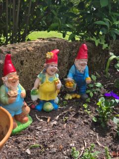 Oasi panoramica con terrazzo privato - 9