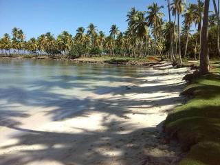 Beautiful room in Las Galeras - 3