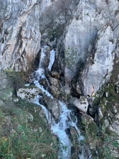 Bujtina Shpella e Plakës Çerçan - 4