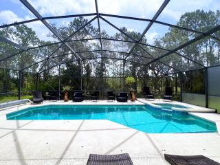 Last Minute Disney Getaway Private Pool Hot Tub Game Room. Book Now 98225 - 0