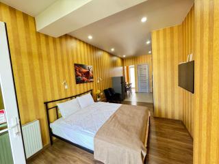 Tbilisi Airport Panorama - 9