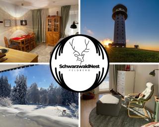Ferienwohnung "Schwarzwald-Nest", Feldberg - 0
