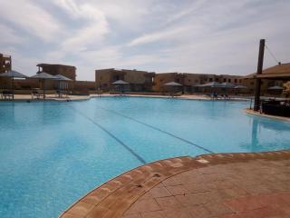 Cozy Studio with Pool & Beach Access - 5