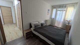M2 Apartman - 5