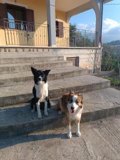 Appartamento Belvedere - 5