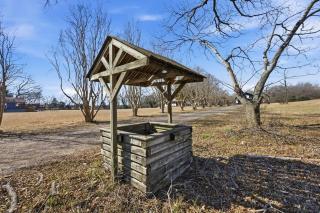 The Texas Pecan - 4