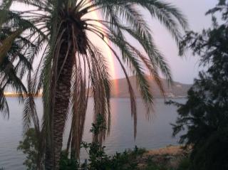 Άνθιμου Γαζή - 1