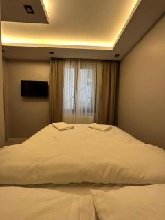 Tree Rose Suite - 9