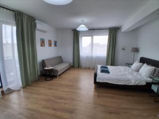 Spacious Modern Studio Balotești near Therme and Airport Free Private Parking, Balcony, Netflix - 1