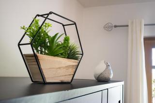 T2 lumineux au cœur de Fontenilles - 1