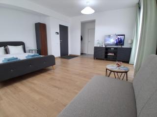 Spacious Modern Studio Balotești near Therme and Airport Free Private Parking, Balcony, Netflix - 8