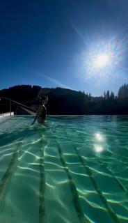 Family Apart Medical Park - 0