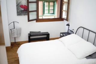 Coqueto Apartamento Centro Histórico - 5