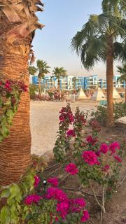 Ayla Gulf chalet families only - 5