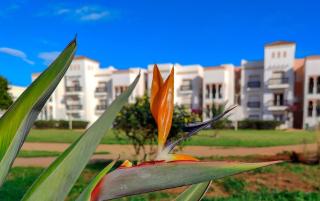 Unique residence on 5 ha, waterfront, golf course view - 3