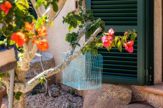 Only Adults App Osten Mallorca - 1