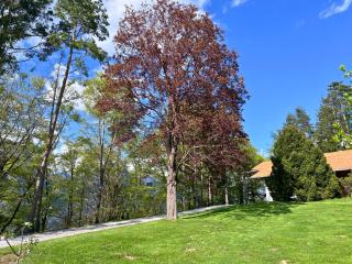 Ferienhaus Eichenseer Gallzein - Alleinlage mit Garten, Wald & Weitblick - 3