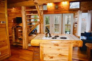 Hidden Falls Cabin - Cozy RRG Retreat - Forest Views - 8