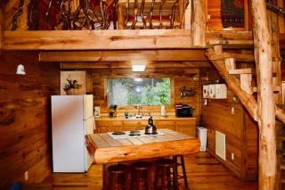 Hidden Falls Cabin - Cozy RRG Retreat - Forest Views - 5