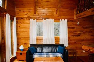 Hidden Falls Cabin - Cozy RRG Retreat - Forest Views - 4