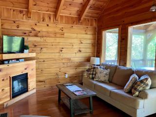 High Rock Cabin - RRG -Hot Tub - 3