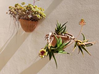 A casa di Marisa - 8