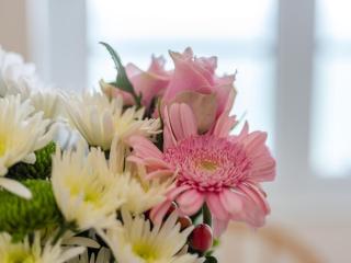 2 Bed in Ilfracombe oc-chyap - 5