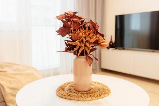 BNB FlyStay Balcony Retreat - 1