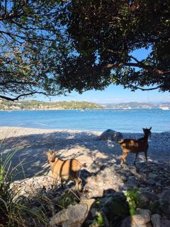 Ca' De Otto, just a few minutes from the sea! - 5