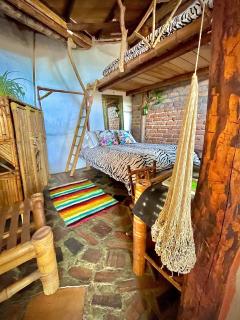 Hotel Casa Tarzan San Agustin - 4