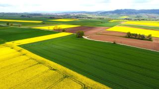 Apartment Kneer - Panoramic View & Private Garden near Black Forest & Lake Constance - 3