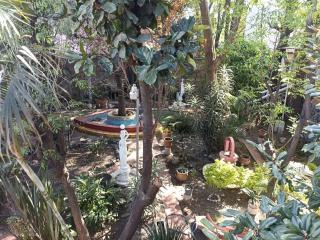 Suites Gardenias - 4