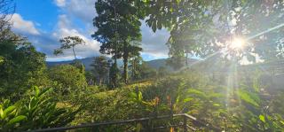 Rio Celeste Jungle Glamping - 4