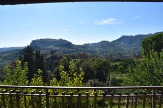 Azienda Agrituristica Biologica Il Querceto - 7