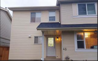 Cozy Bachelor Suite - 0