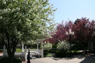 Hampton Inn Burlington - Colchester - 9