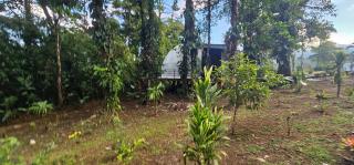 Rio Celeste Jungle Glamping - 5