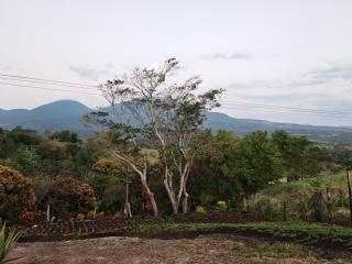 Hospedaje La Guaca - 5