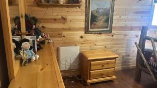 Creekside Cabin Pet Friendly Peaceful Cabin - 3