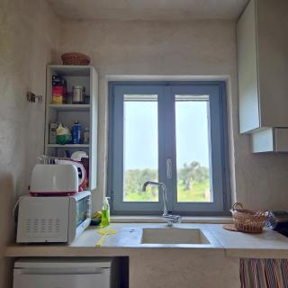SanVirgilio Apartment in Fasano with Terrace View Ancient Olives & Sea - 4